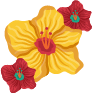Flor